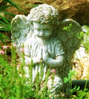 praying angel