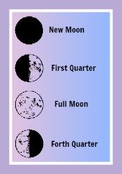 Moon Quarters